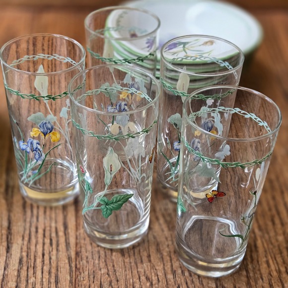 Studio Nova Other - Studio Nova Garden Bloom Water Glass Tumblers Set of 5 Floral Iris Calla Lily
